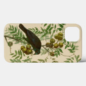 Audubon American Crow Black Bird Case-Mate iPhone Case (Achterkant (horizontaal))