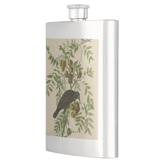 Audubon American Crow Black Bird Flacon (Links)