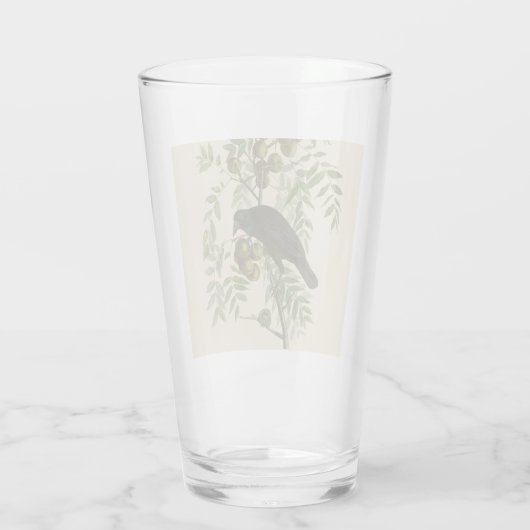 Audubon American Crow Black Bird Glas (Achterkant)