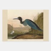 Audubon American Crow Black Bird Inpakpapier Vel (Voorkant 3)