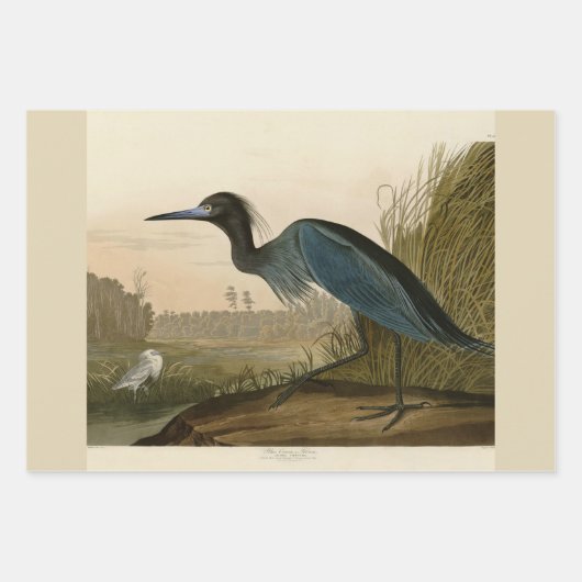Audubon American Crow Black Bird Inpakpapier Vel (Voorkant 3)