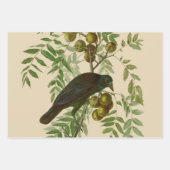 Audubon American Crow Black Bird Inpakpapier Vel (Voorkant)