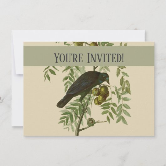 Audubon American Crow Black Bird Kaart (Voorkant)