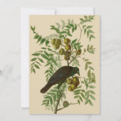 Audubon American Crow Black Bird Kaart (Achterkant)