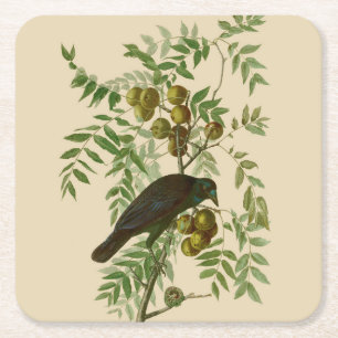 Audubon American Crow Black Bird Kartonnen Onderzetters