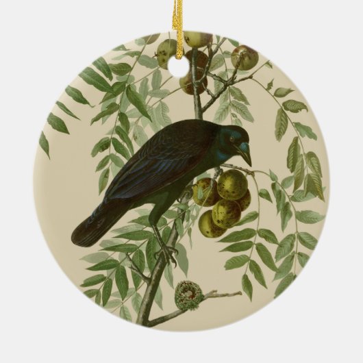 Audubon American Crow Black Bird Keramisch Ornament (Achterkant)