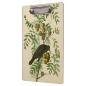 Audubon American Crow Black Bird Klembord (Links)