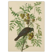 Audubon American Crow Black Bird Klembord (Achterkant)