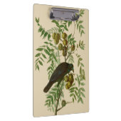 Audubon American Crow Black Bird Klembord (Rechts)