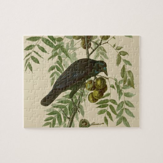 Audubon American Crow Black Bird Legpuzzel (Horizontaal)