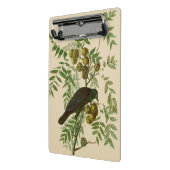 Audubon American Crow Black Bird Mini Klembord (Angled2)