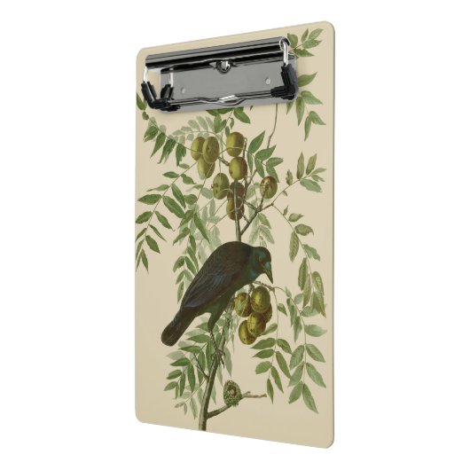 Audubon American Crow Black Bird Mini Klembord (Angled2)