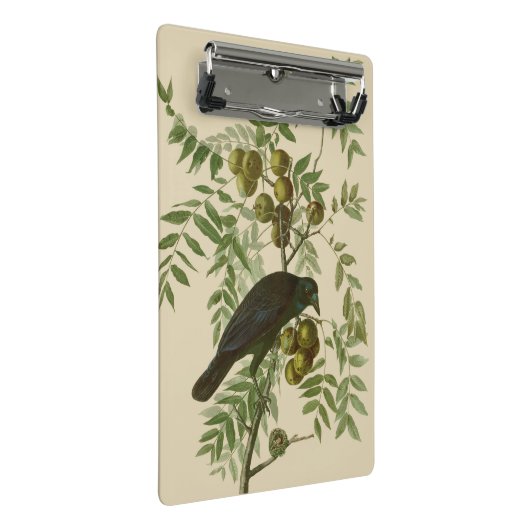 Audubon American Crow Black Bird Mini Klembord (Schuin)