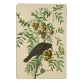 Audubon American Crow Black Bird Mini Klembord (Achterkant)