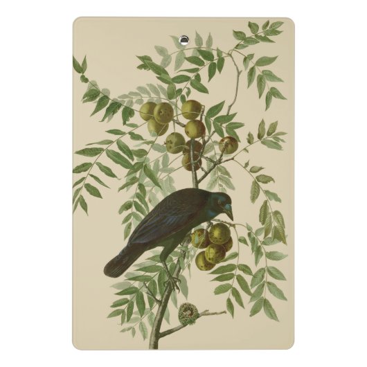 Audubon American Crow Black Bird Mini Klembord (Achterkant)