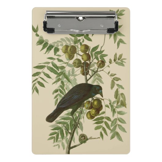 Audubon American Crow Black Bird Mini Klembord (Voorkant)