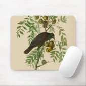 Audubon American Crow Black Bird Muismat (Met muis)