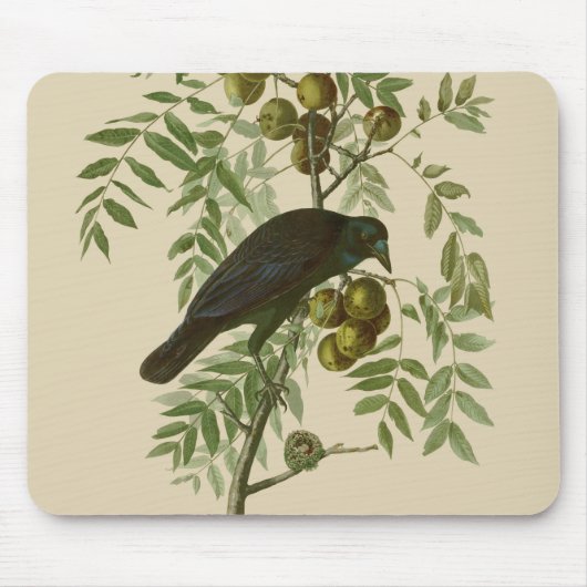 Audubon American Crow Black Bird Muismat (Voorkant)