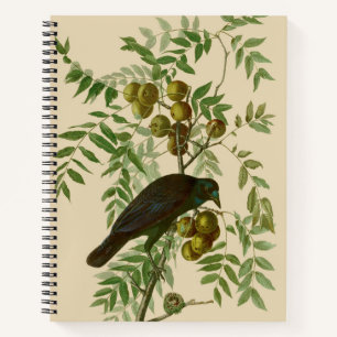 Audubon American Crow Black Bird Notitieboek