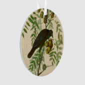 Audubon American Crow Black Bird Ornament (voorkant)