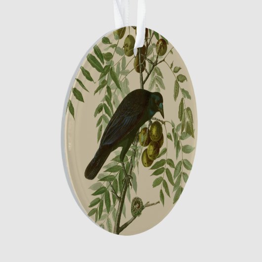 Audubon American Crow Black Bird Ornament (voorkant)