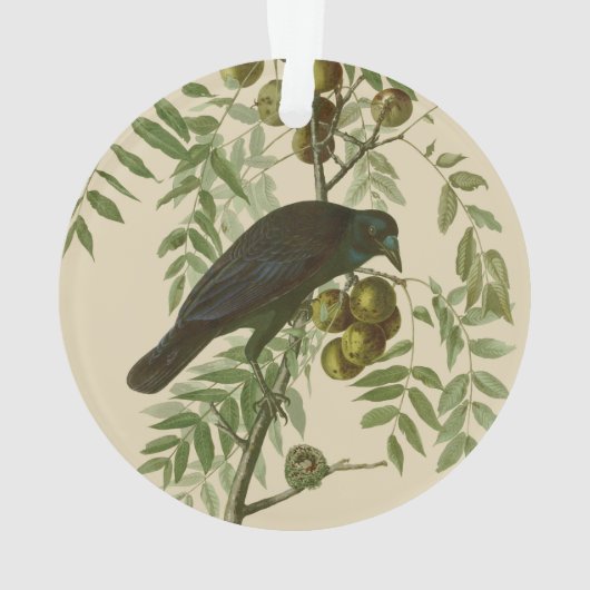Audubon American Crow Black Bird Ornament (achterkant)