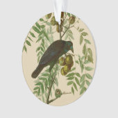 Audubon American Crow Black Bird Ornament (voorkant)