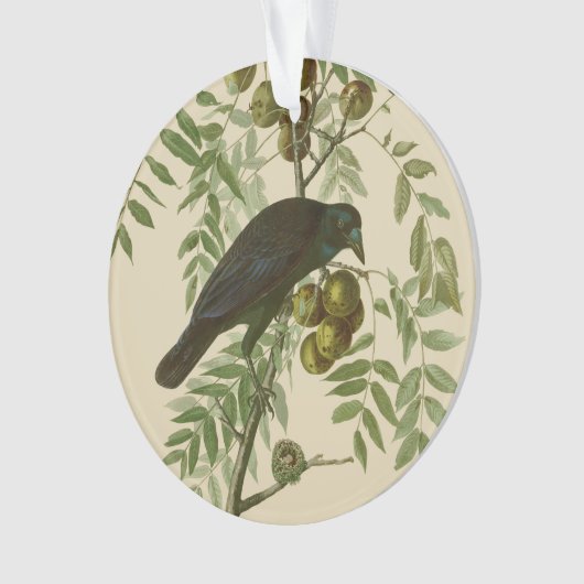 Audubon American Crow Black Bird Ornament (voorkant)