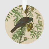 Audubon American Crow Black Bird Ornament (voorkant)
