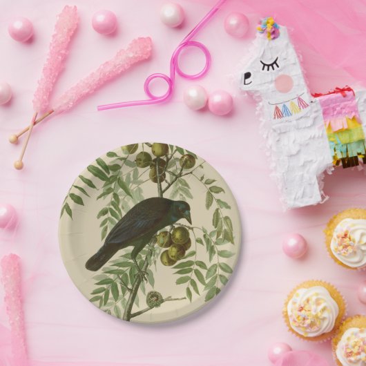 Audubon American Crow Black Bird Papieren Bordje (Feest)