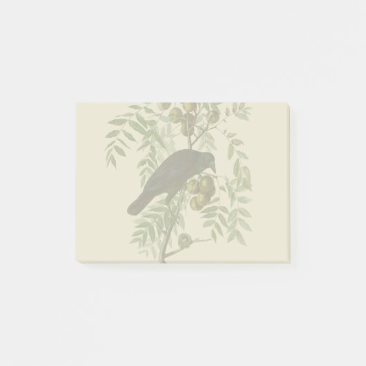 Audubon American Crow Black Bird Post-it® Notes (Voorkant)