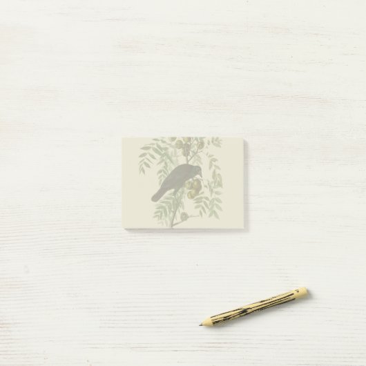 Audubon American Crow Black Bird Post-it® Notes (Op bureau)
