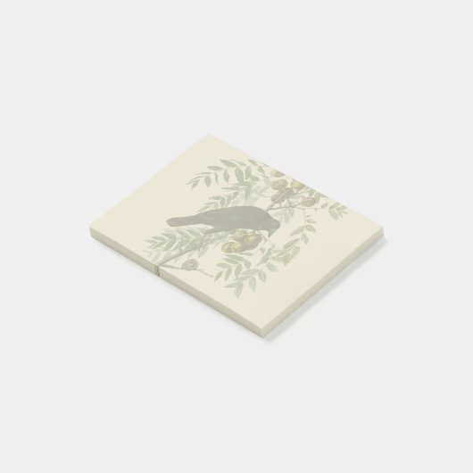 Audubon American Crow Black Bird Post-it® Notes (Schuin)