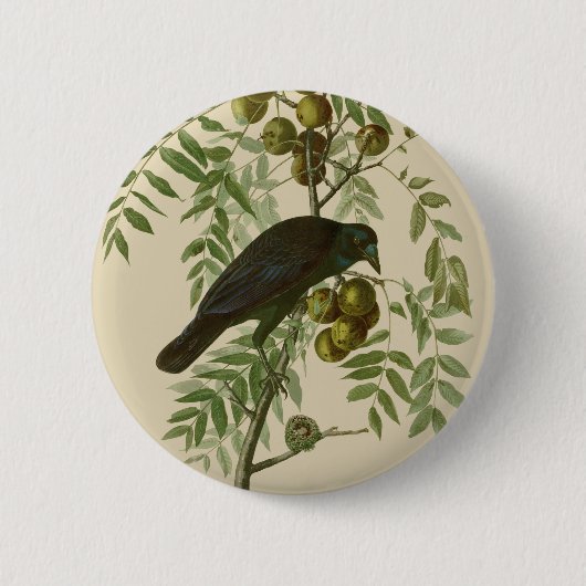 Audubon American Crow Black Bird Ronde Button 5,7 Cm (Voorkant)