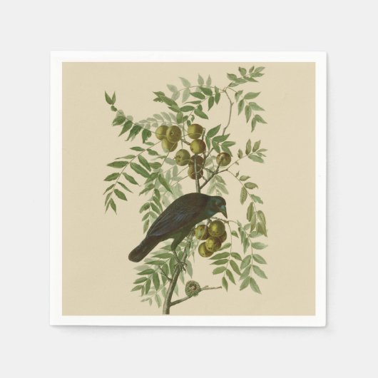 Audubon American Crow Black Bird Servet (Voorkant)
