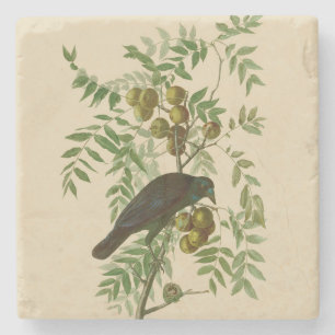 Audubon American Crow Black Bird Stenen Onderzetter