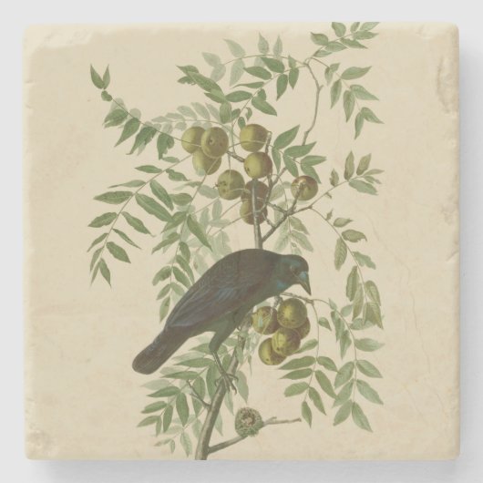 Audubon American Crow Black Bird Stenen Onderzetter (Voorkant)