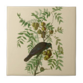 Audubon American Crow Black Bird Tegeltje (Voorkant)