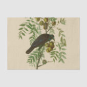 Audubon American Crow Black Bird Tissuepapier (Voorkant)