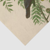 Audubon American Crow Black Bird Tissuepapier (Detail)