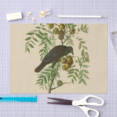 Audubon American Crow Black Bird Tissuepapier (Craft)