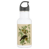 Audubon American Crow Black Bird Waterfles (Voorkant)