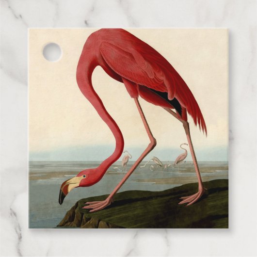 Audubon American Flamingo Bedankjes Labels (Voorkant)