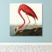 Audubon American Flamingo Canvas Afdruk (Insitu (Houten vloer))
