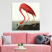 Audubon American Flamingo Canvas Afdruk (Insitu (Woonkamer))