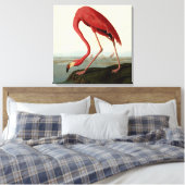 Audubon American Flamingo Canvas Afdruk (Insitu (Slaapkamer))