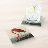 Audubon American Flamingo Glazen Onderzetter (Schuin)