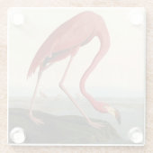 Audubon American Flamingo Glazen Onderzetter (Achterkant)