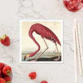 Audubon American Flamingo John James Audubon Servet (Insitu)
