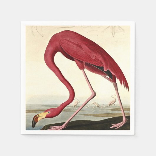 Audubon American Flamingo John James Audubon Servet (Voorkant)